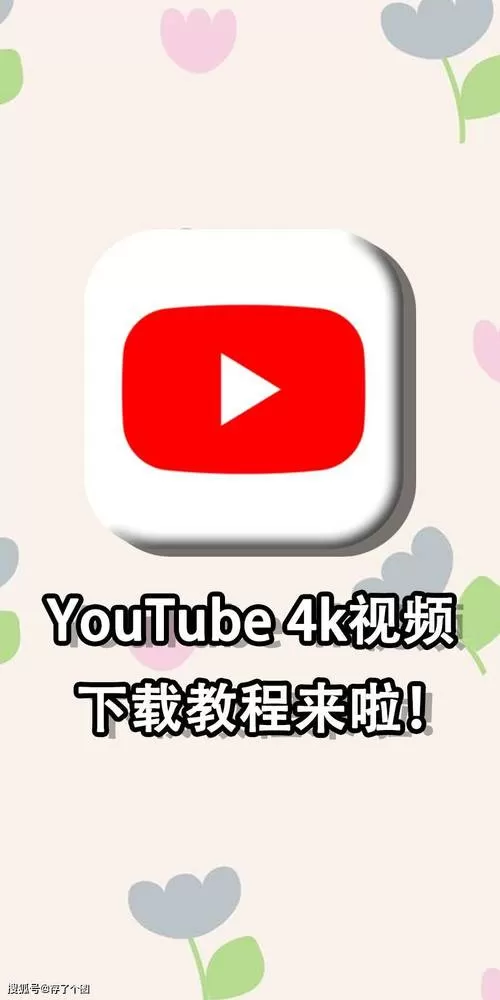 国内如何上油管看视频