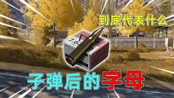 暗区突围子弹穿透机制