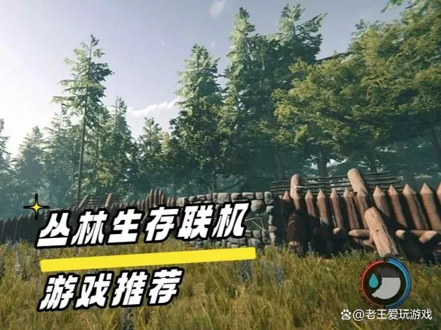 丛林地狱破解版怎么联机玩游戏的
