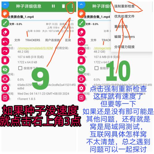 bt种子打开步骤