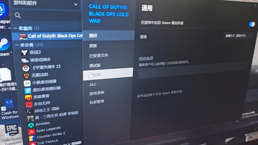 使命召唤17存档文件在哪