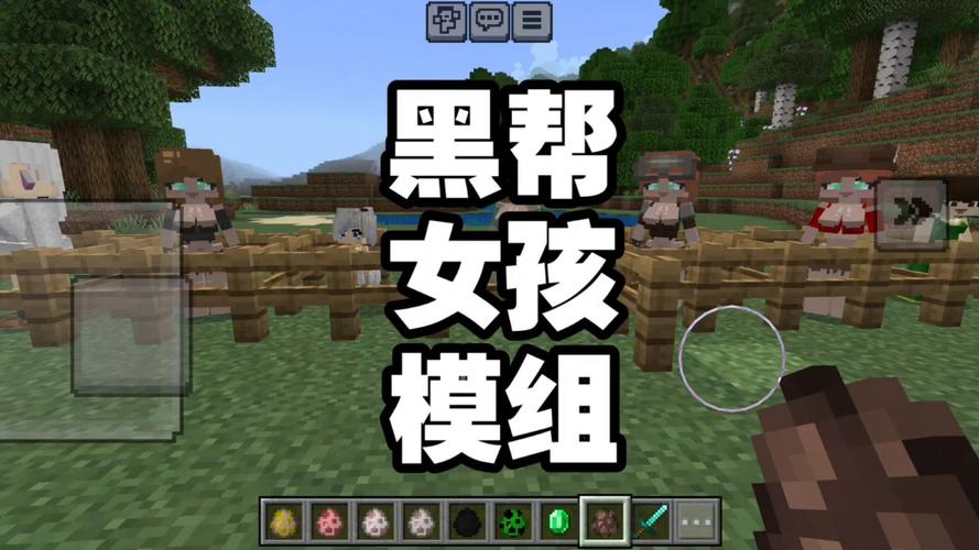 我的世界黑帮女孩