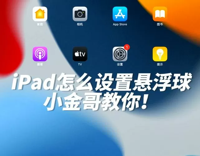 ipad辅助圆球怎么设置