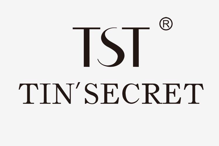 TST中文是什么意思