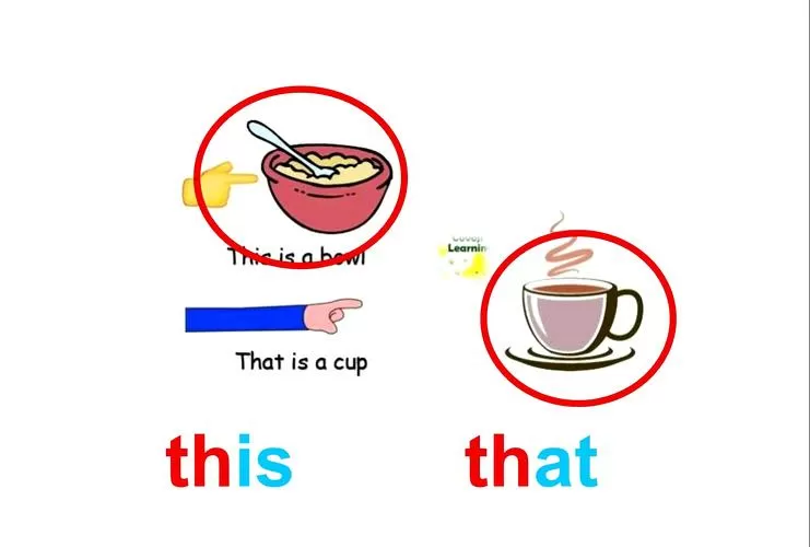 this和that指代什么