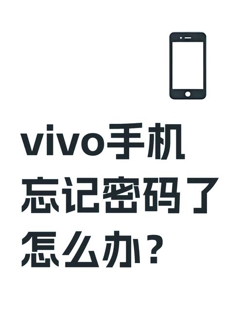 vivo应用隐私密码忘了怎么办