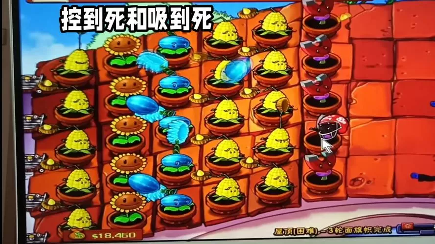 植物大战僵尸生存屋顶困难