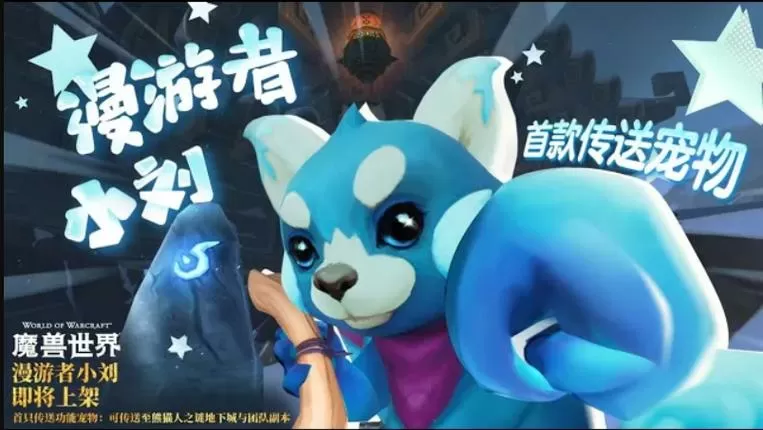 魔兽世界宠物在哪里打开的
