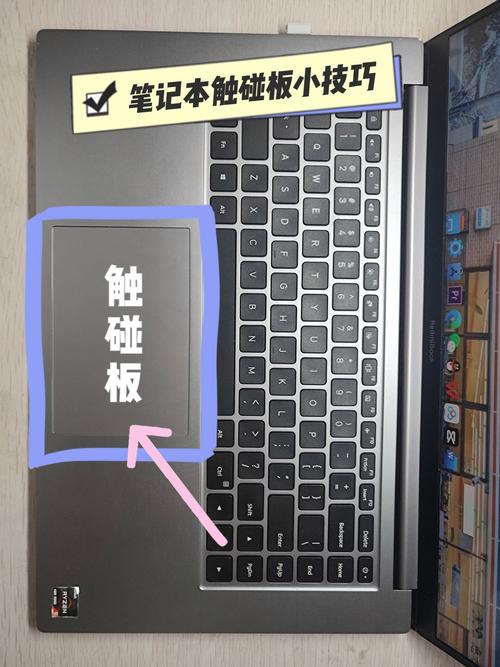 电脑触摸板怎么使用