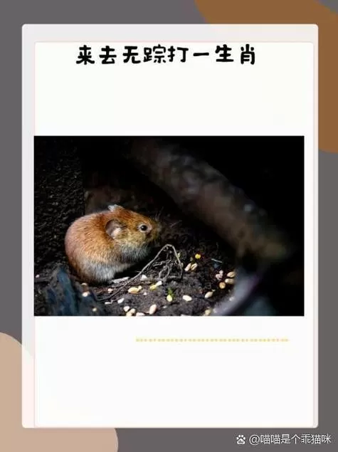 有孙母未去的去是什么意思