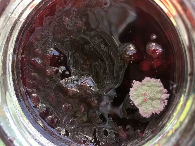 果酱有一点儿发霉了还能不能吃