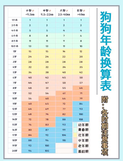 宠物年龄对照表