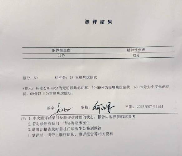 抑郁症p图软件 诊断书