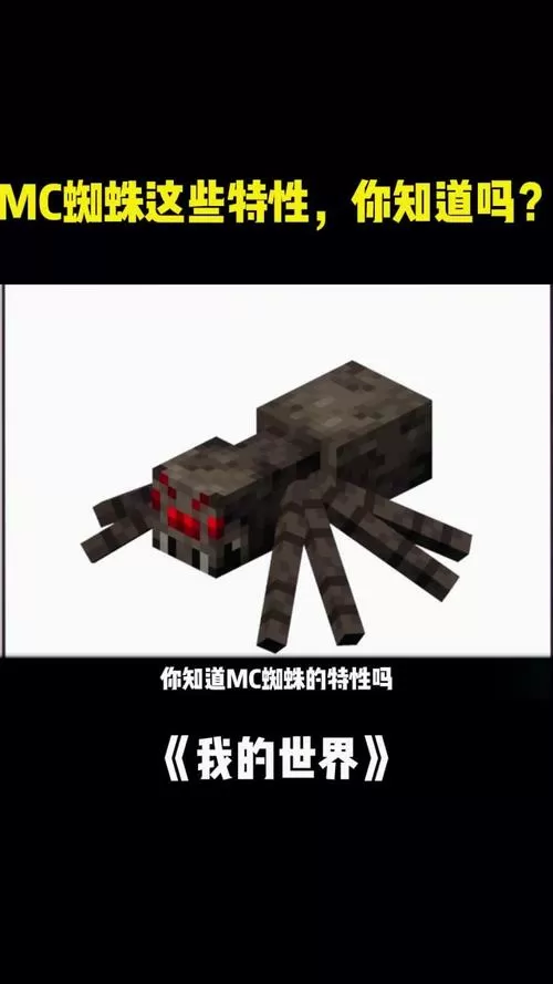 我的世界蜘蛛为什么在白天不攻击人截图