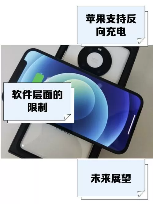 苹果手机支持反向充电功能吗