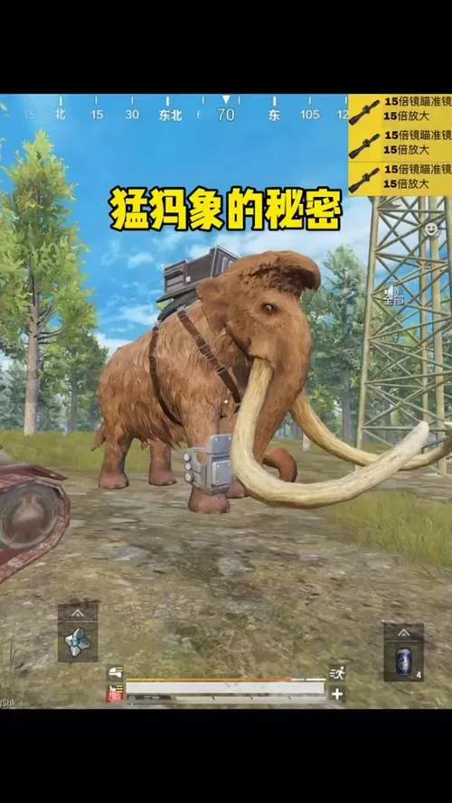 和平精英猛犸象直装