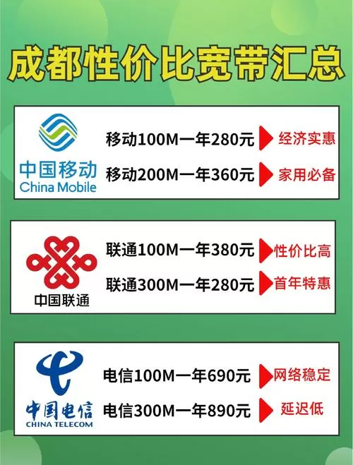 300m的宽带够用吗