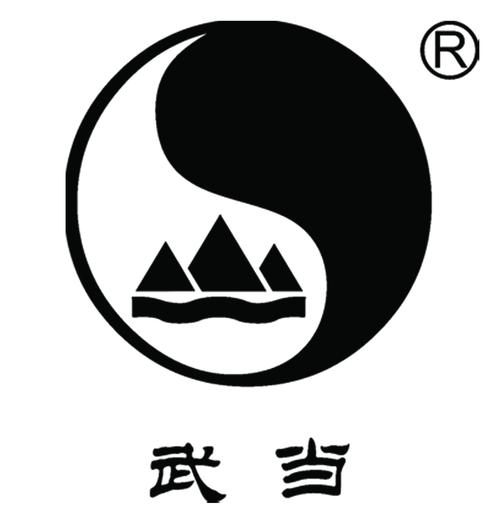武当2012