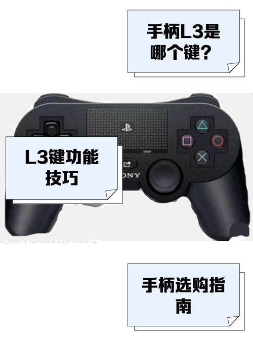 l3在哪里游戏手柄