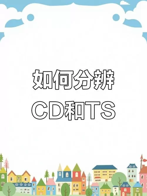 CD和TS有啥区别