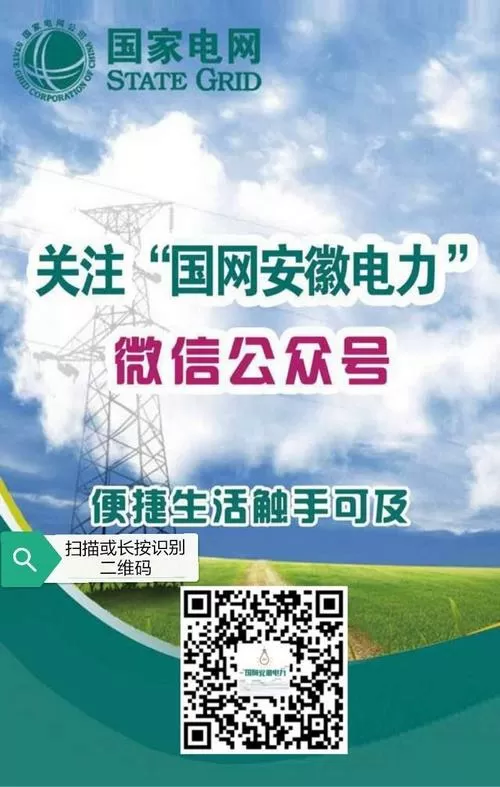 国网安徽电力缴费户号账号缩略图