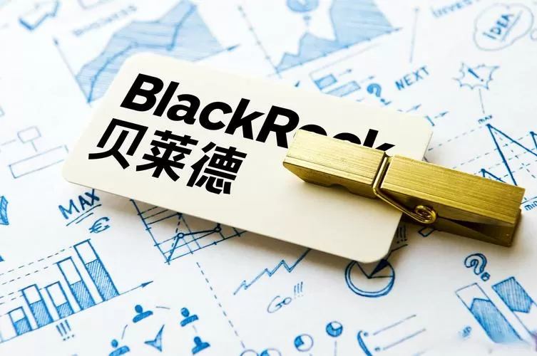 贝莱德资金来源