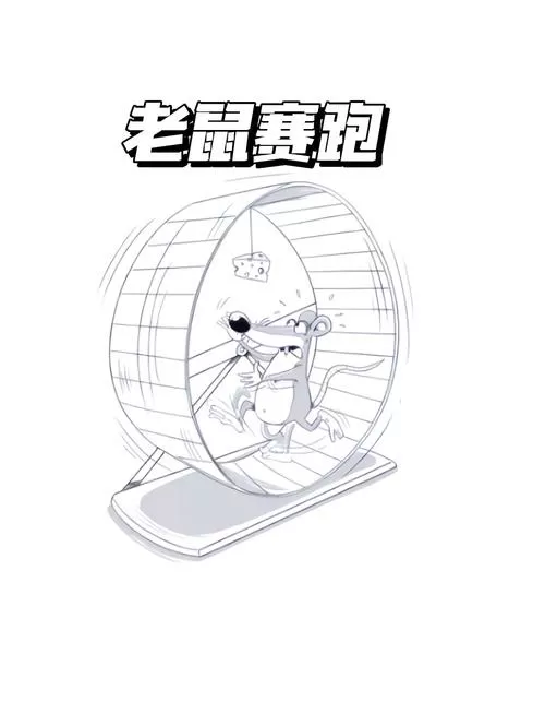老鼠为什么跑那么快