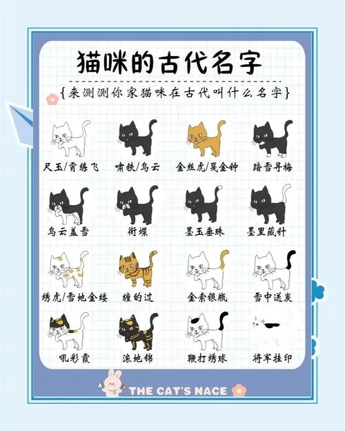 一群喵十二只猫真名