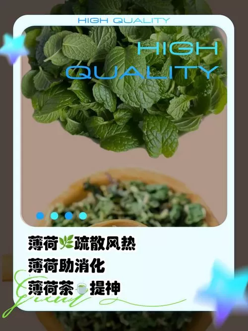 薄荷叶泡水的功效与作用