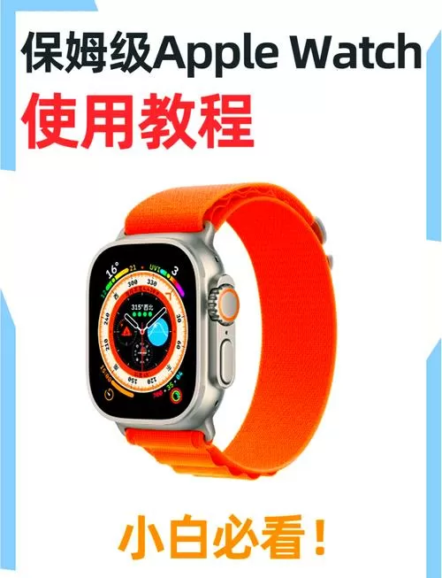 苹果手表一直在检查更新怎么办