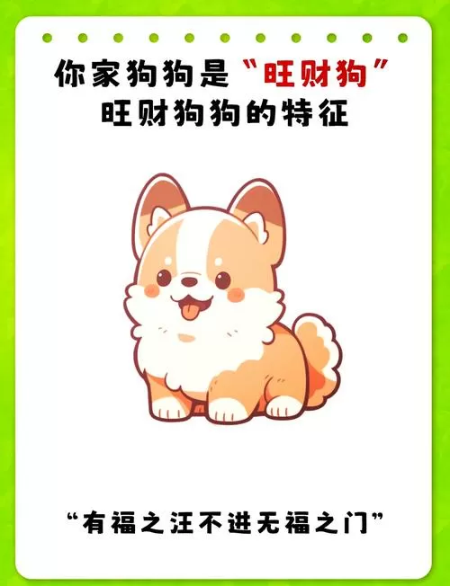 四蹄踏雪的狗招财