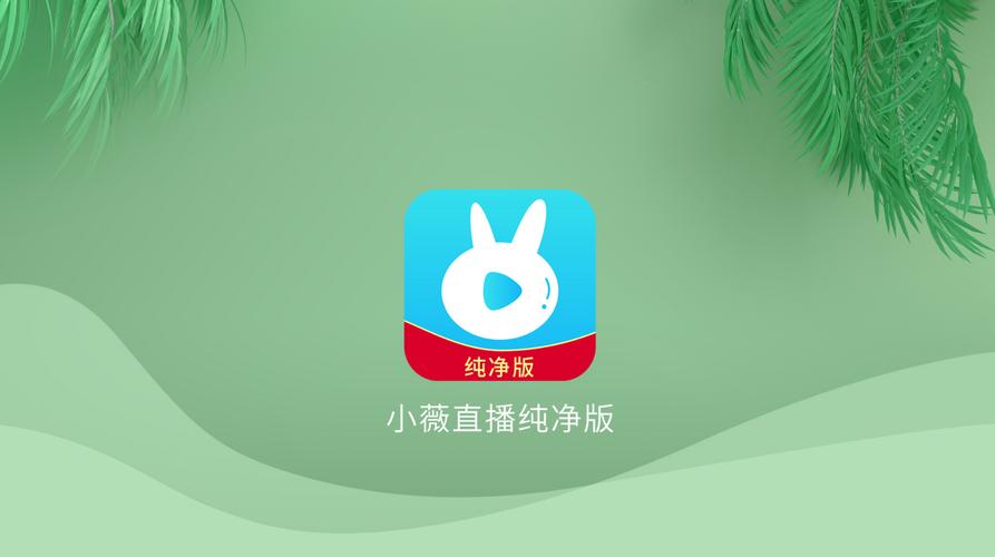 小薇直播旧版本下载