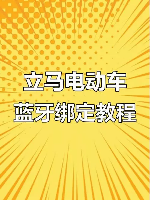 立马电动车蓝牙启动教程