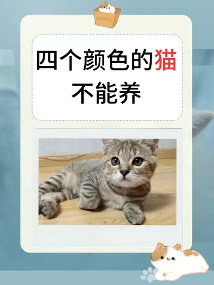 养了个猫内置作弊菜单版下载
