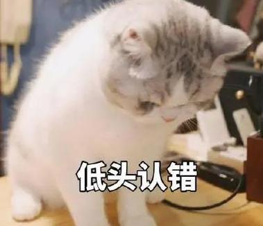 低头认错表情包