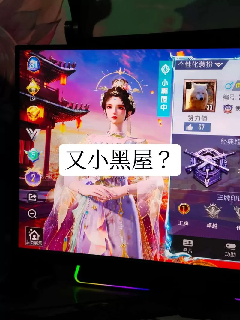 和平精英莫名其妙关小黑屋