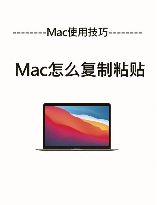 苹果电脑系统怎么复制粘贴文件