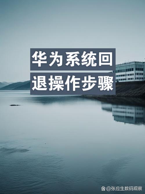 华为怎么从升级尝鲜版退出