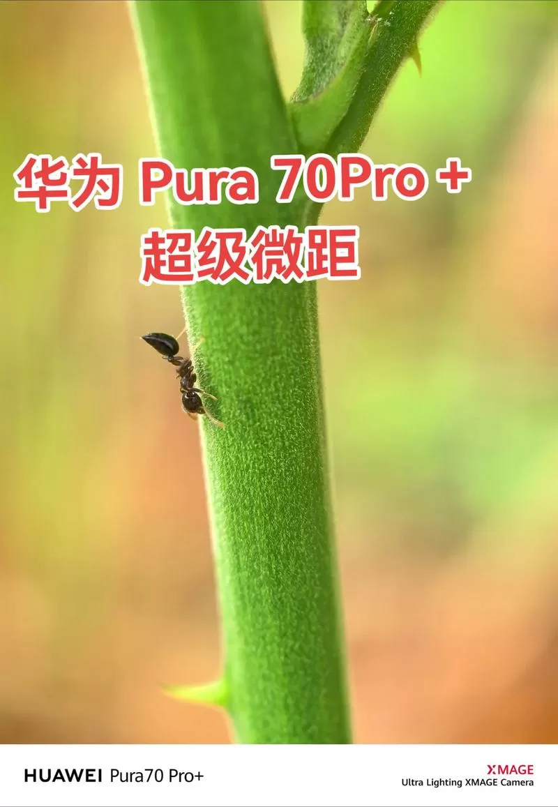 华为手机超级微距怎么打开