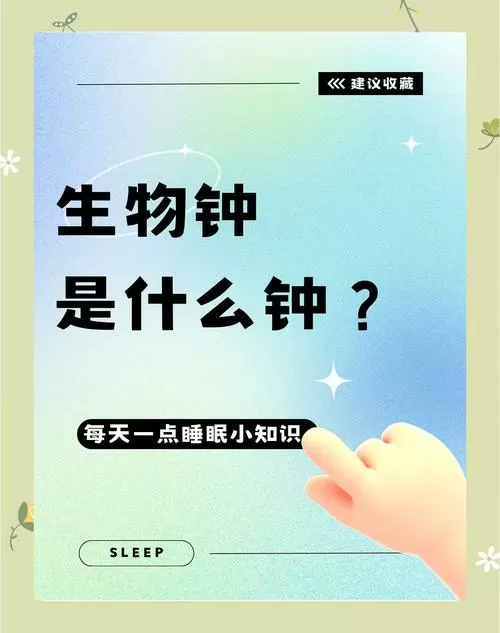 生物钟简单解释