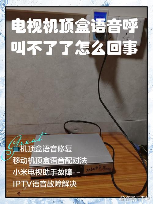 网络机顶盒语音用不了怎么办
