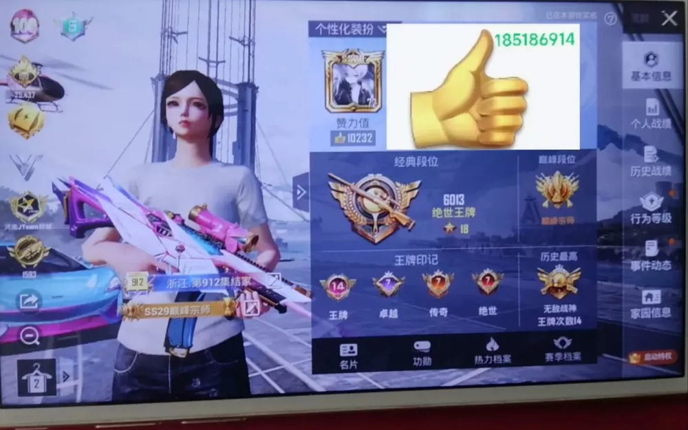 和平精英V字认证截图