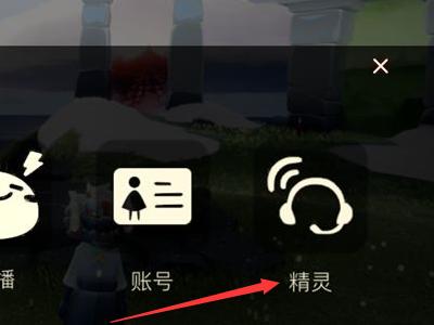 光遇怎么账号密码登录?