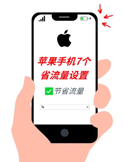 苹果手机流量图标显示是哪一个?