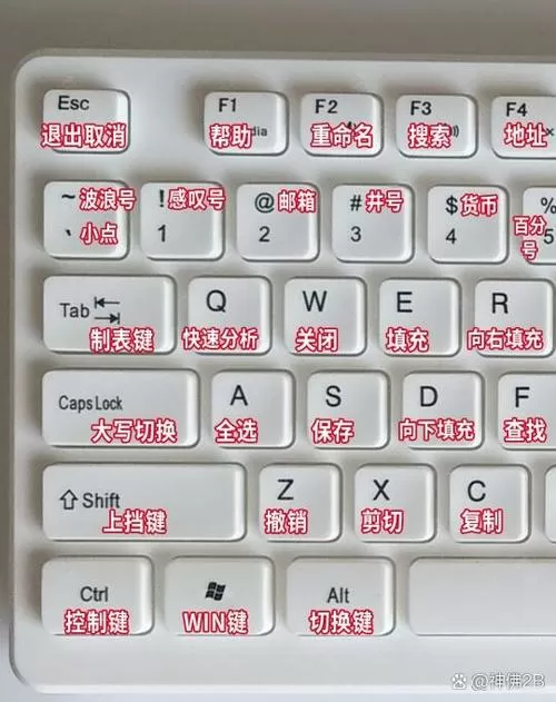 键盘怎么不能输入数字了