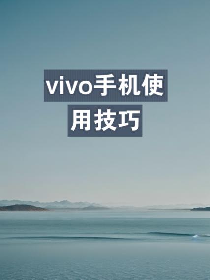 vivo手机网络共享怎么打开
