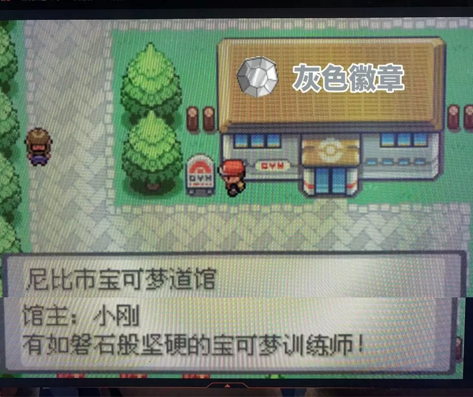 口袋妖怪启示录修复版馆主位置