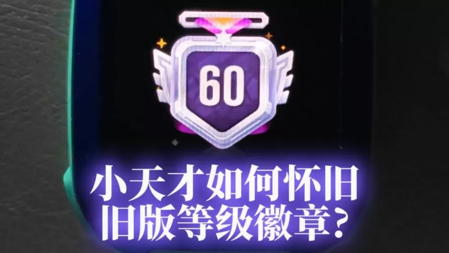 小天才最高等级
