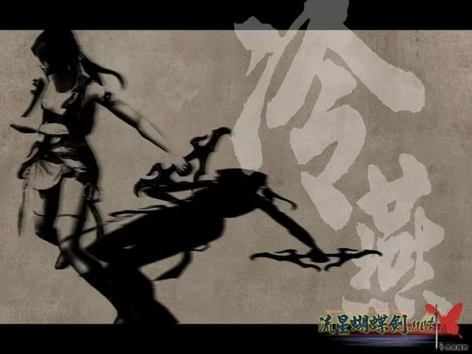 流星蝴蝶剑2002版