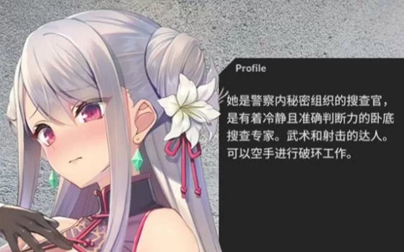 女特工卧底特工1.1汉化版下载